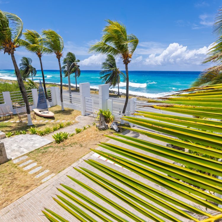 Fotografía de apartamentos en San Andrés: hamaca con vista al mar